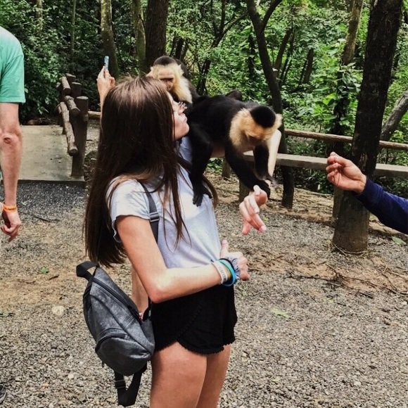 Meet your Posher, Tatum - Picture 2 of 2